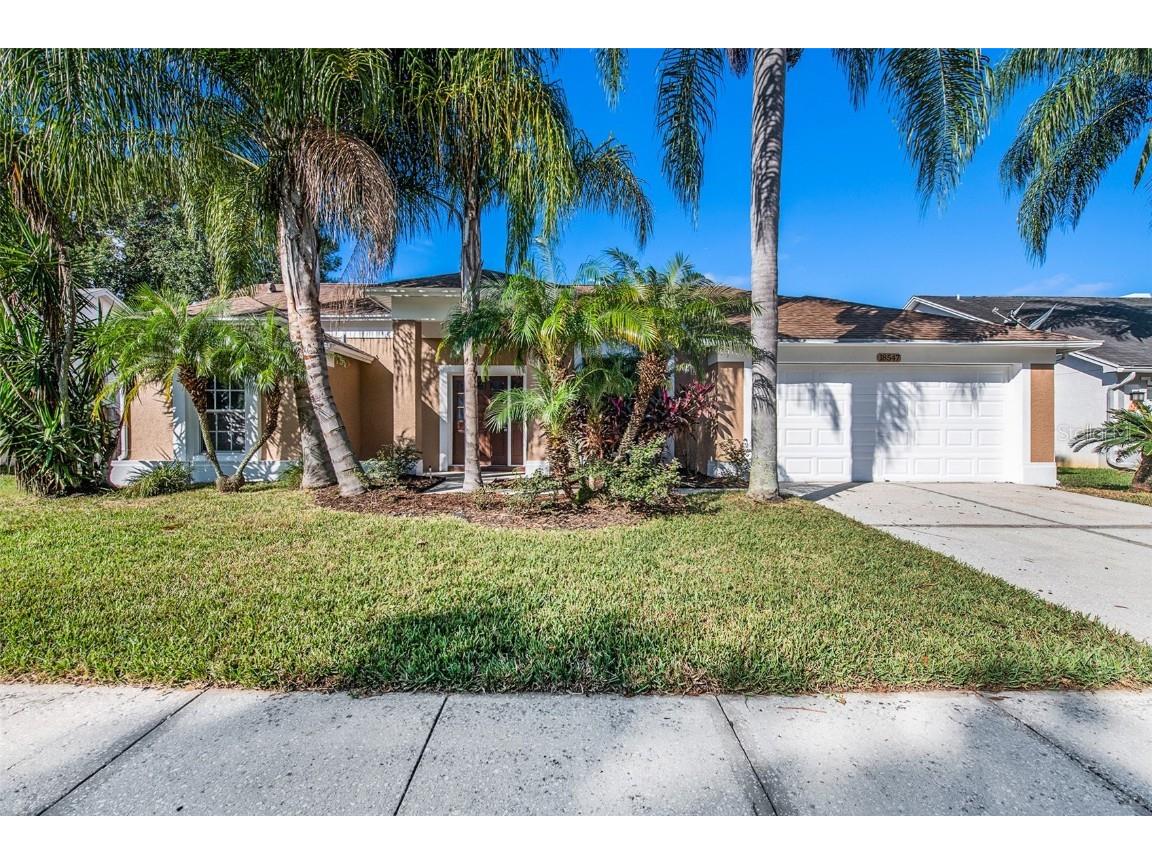 18547 Otterwood Avenue Tampa FL 33647 O6071104 image1