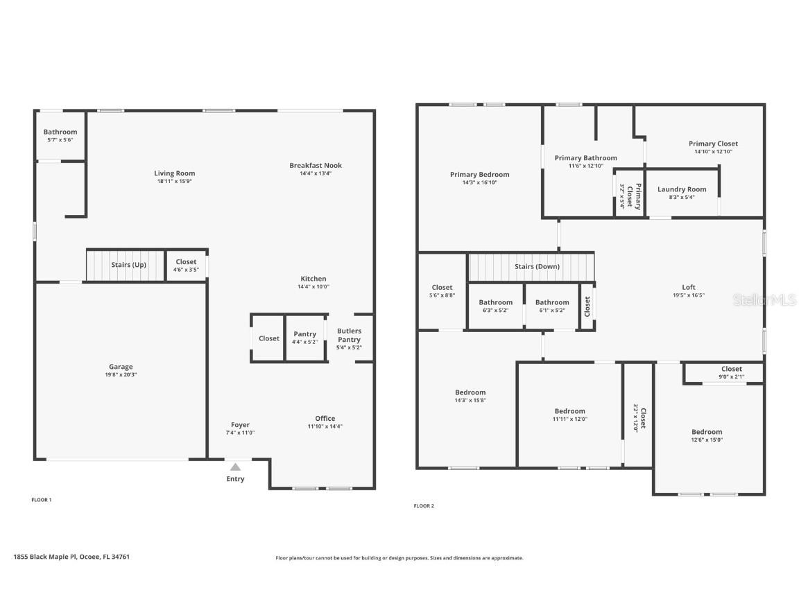 1855 Black Maple Place Ocoee FL 34761 O6340805 image2
