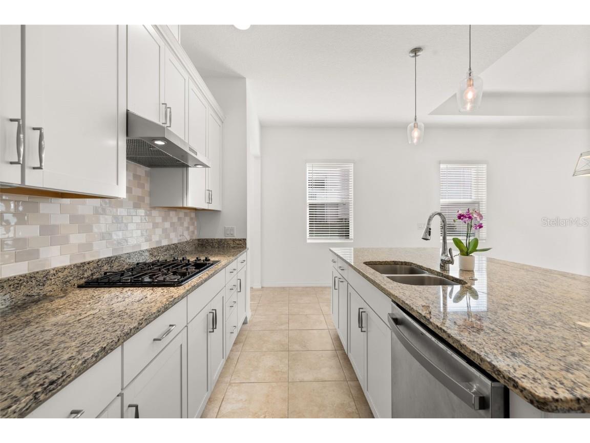 1855 Flora Pass Place Kissimmee FL 34747 S5138984 image8