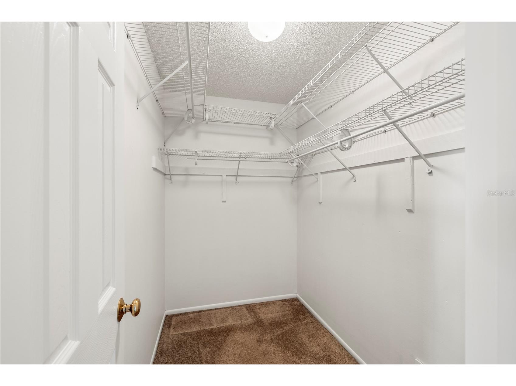 1855 Kim Acres Lane Dover FL 33527 TB8508211 image29