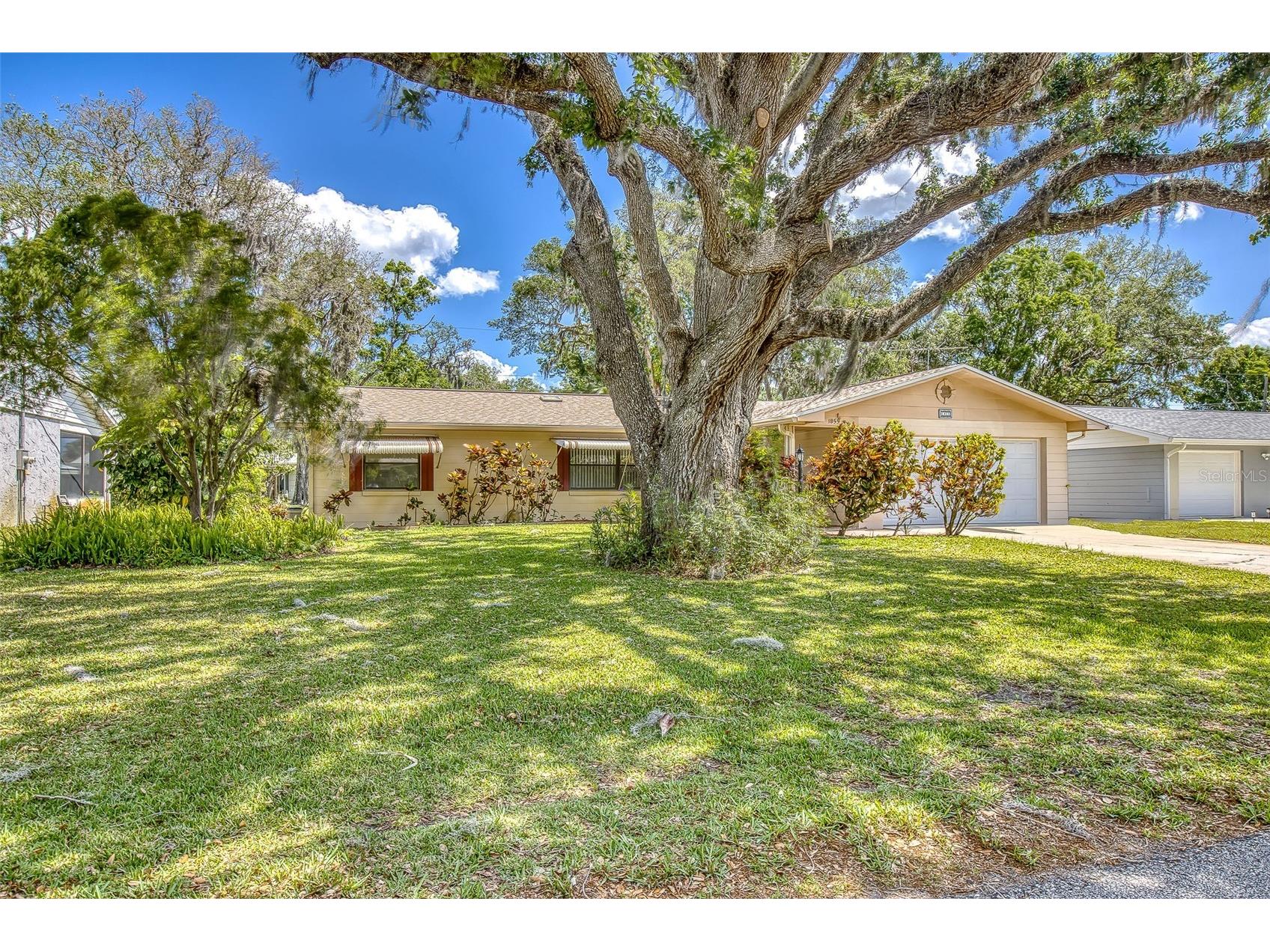 1855 Pine Tree Drive Edgewater FL 32141 NS1086823 image1