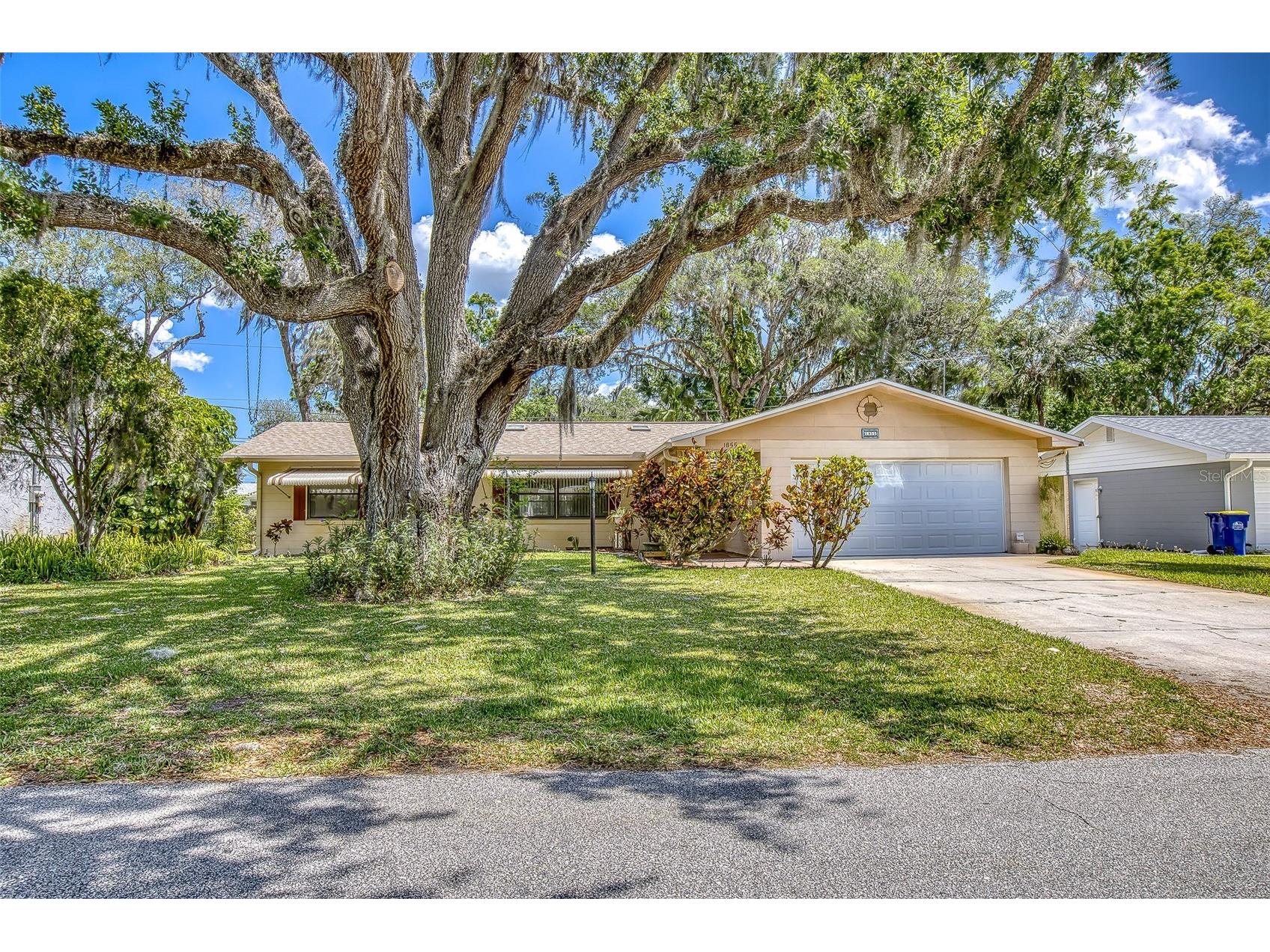 1855 Pine Tree Drive Edgewater FL 32141 NS1086823 image2