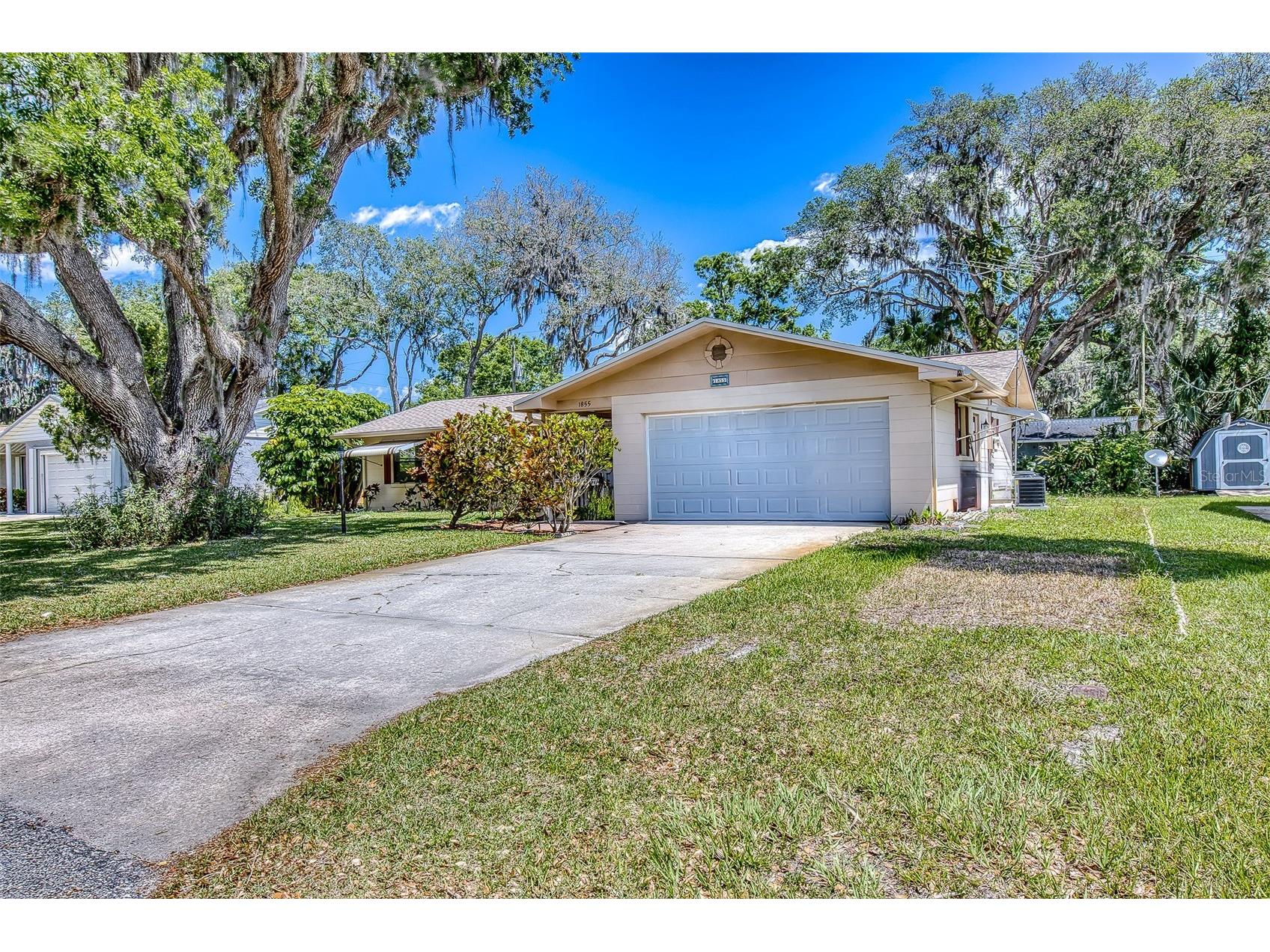 1855 Pine Tree Drive Edgewater FL 32141 NS1086823 image3