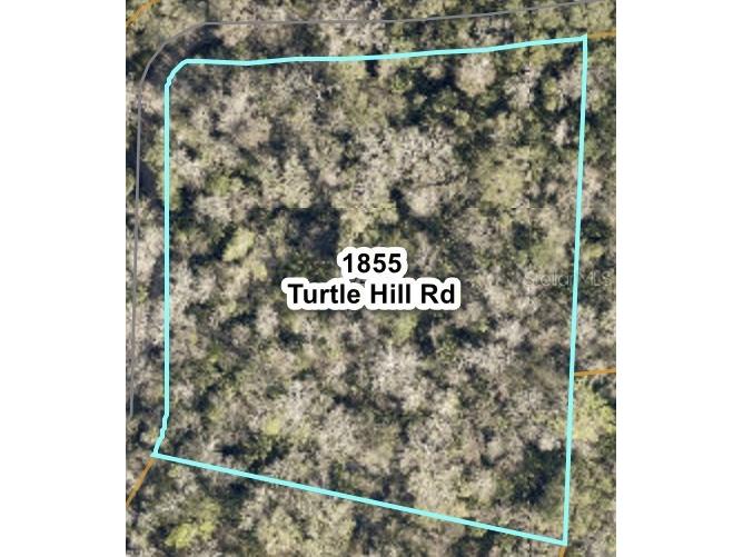 1855 Turtle Hill Road Deltona FL 32725 O6391547 image1