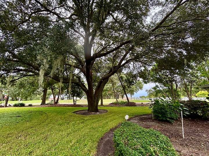 18550 Lake Emma Drive Groveland FL 34736 - LAKE EMMA O6339449 image14