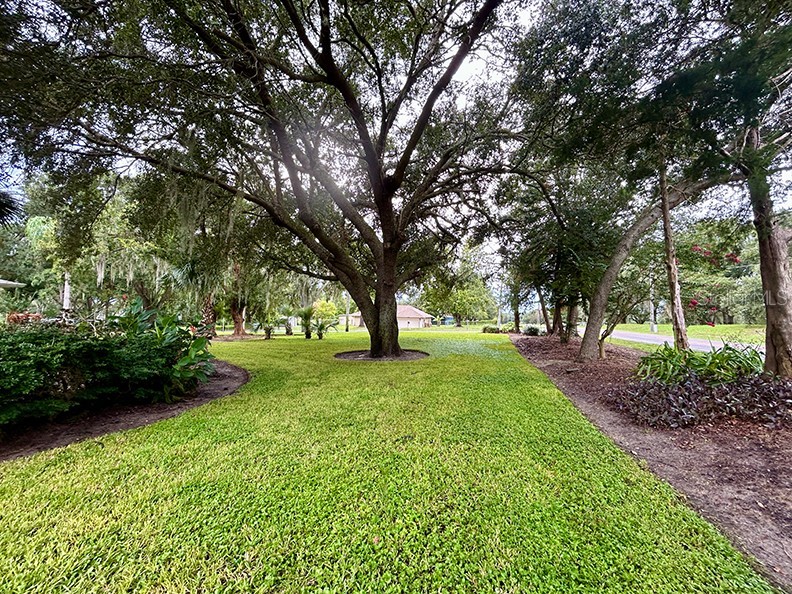 18550 Lake Emma Drive Groveland FL 34736 - LAKE EMMA O6339449 image15