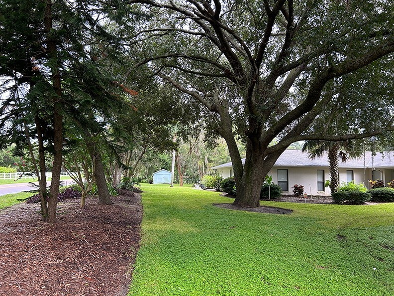 18550 Lake Emma Drive Groveland FL 34736 - LAKE EMMA O6339449 image17
