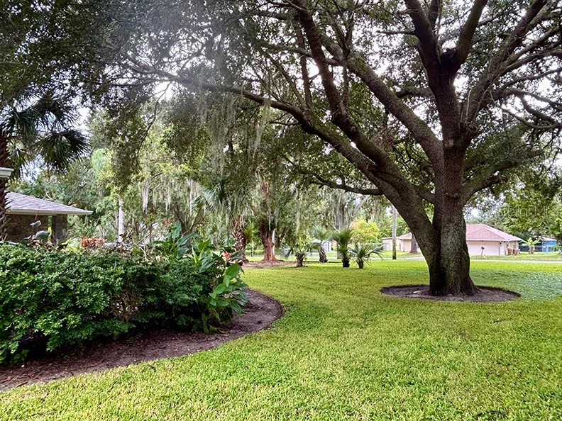 18550 Lake Emma Drive Groveland FL 34736 - LAKE EMMA O6339449 image19