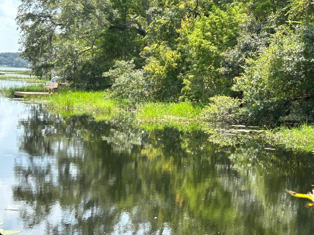 18550 Lake Emma Drive Groveland FL 34736 - LAKE EMMA O6339449 image47