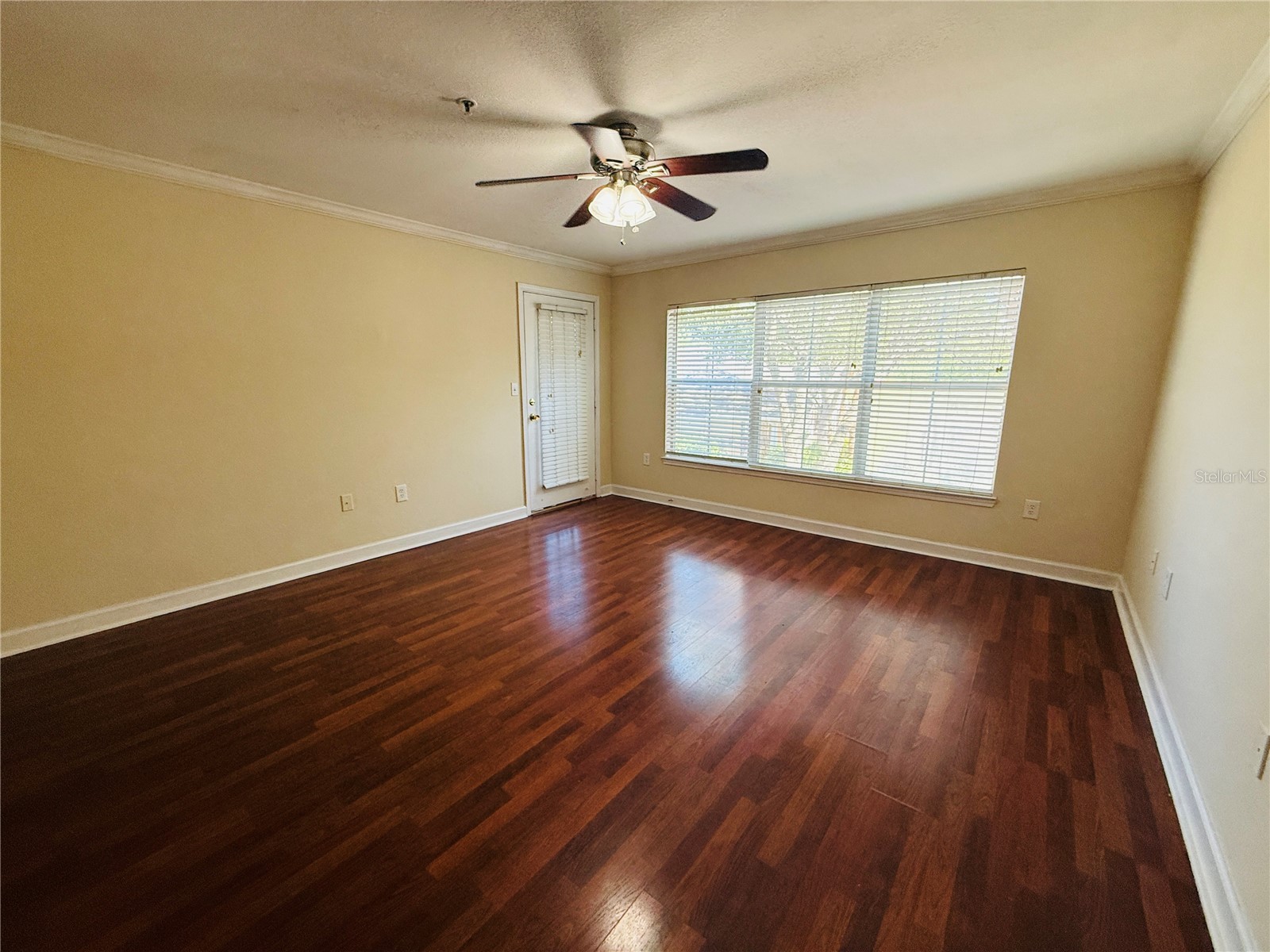 18557 Bridle Club Drive #18557 Tampa FL 33647 TB8516394 image11