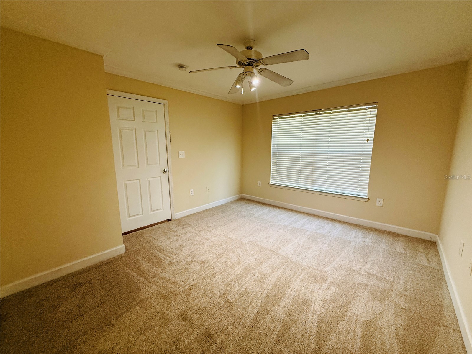18557 Bridle Club Drive #18557 Tampa FL 33647 TB8516394 image15