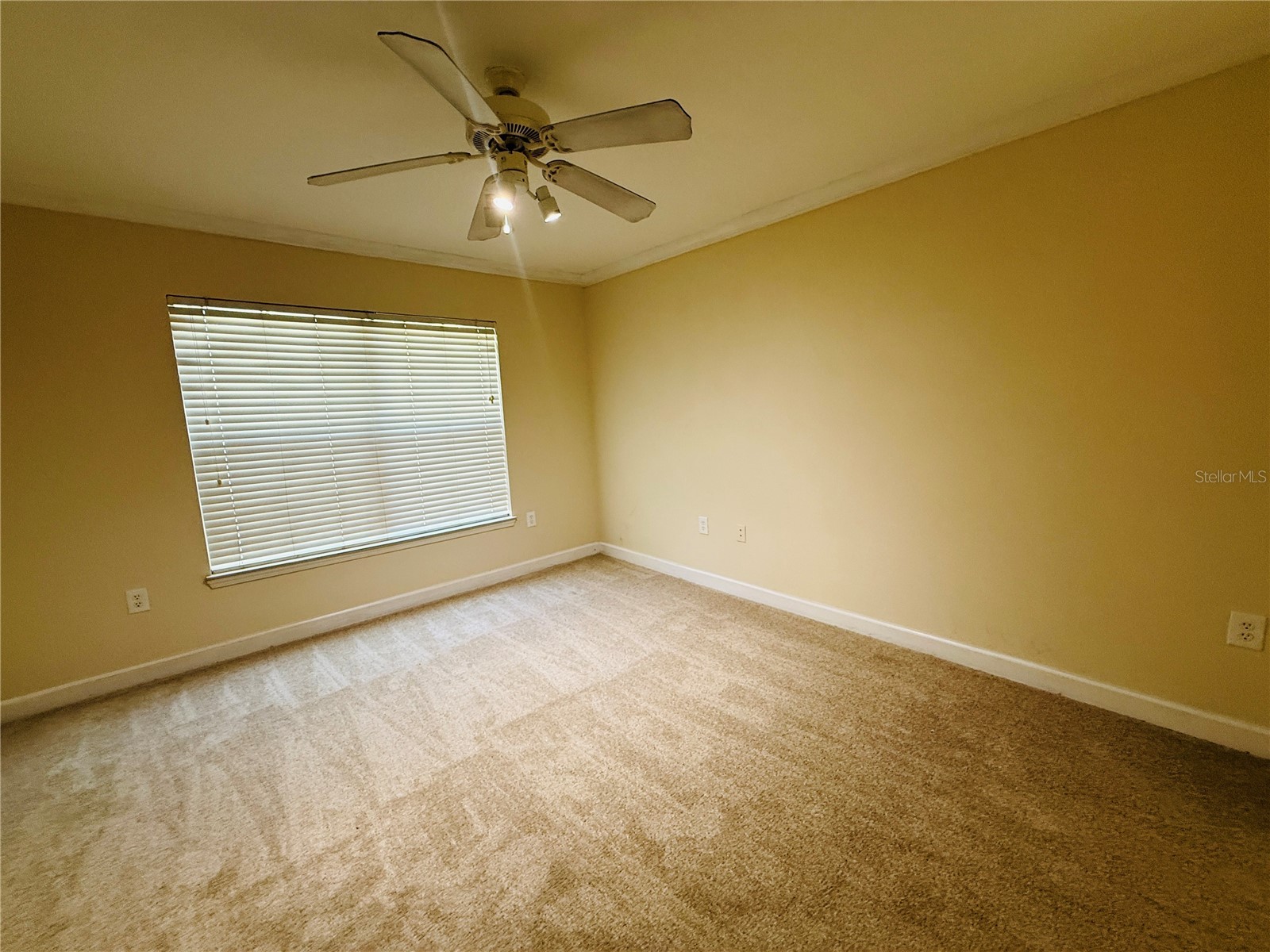 18557 Bridle Club Drive #18557 Tampa FL 33647 TB8516394 image16