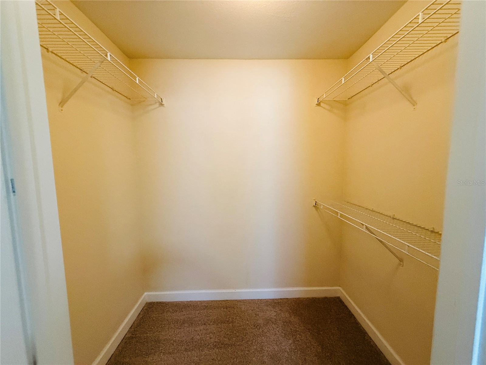 18557 Bridle Club Drive #18557 Tampa FL 33647 TB8516394 image17