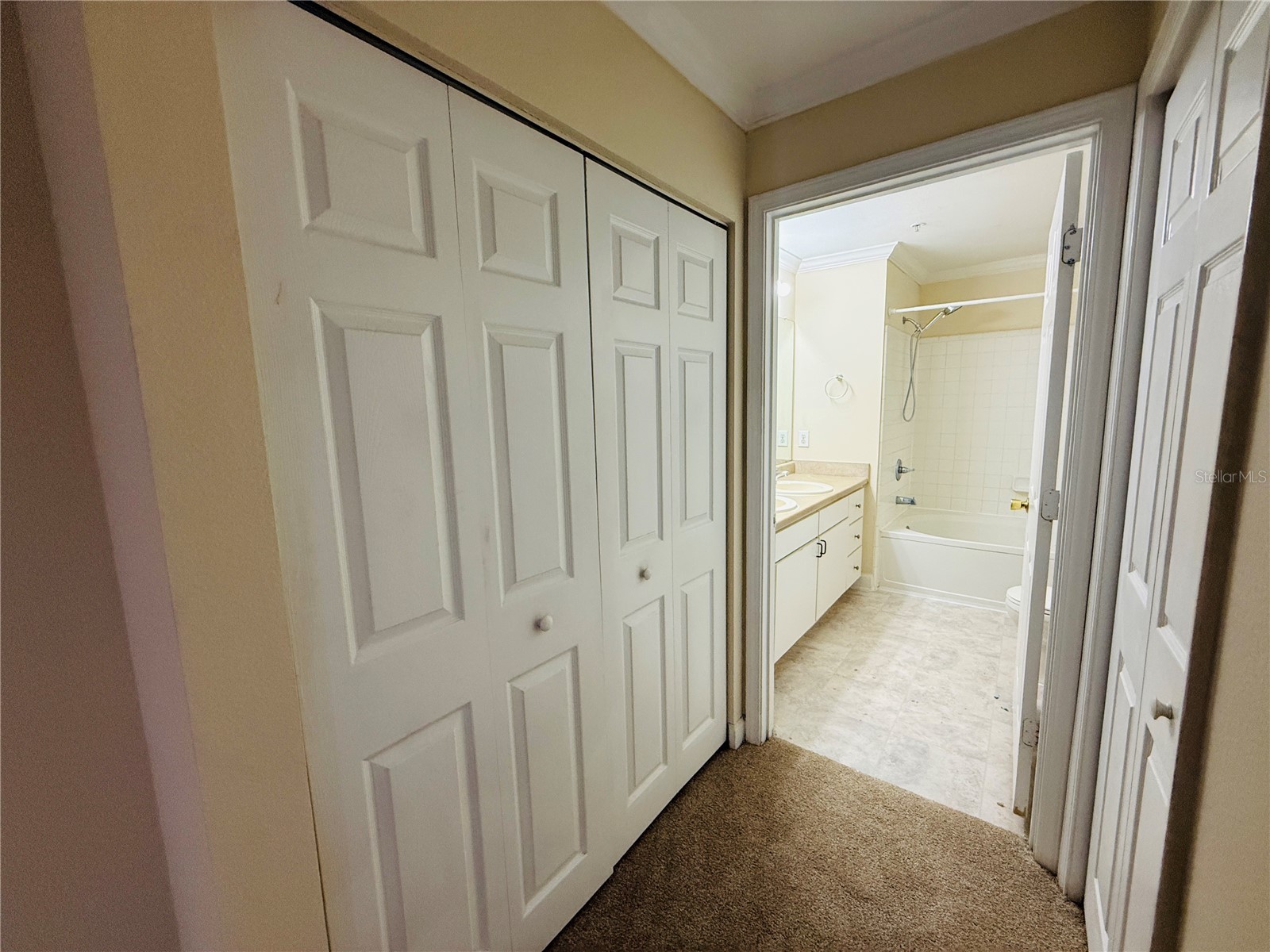 18557 Bridle Club Drive #18557 Tampa FL 33647 TB8516394 image19