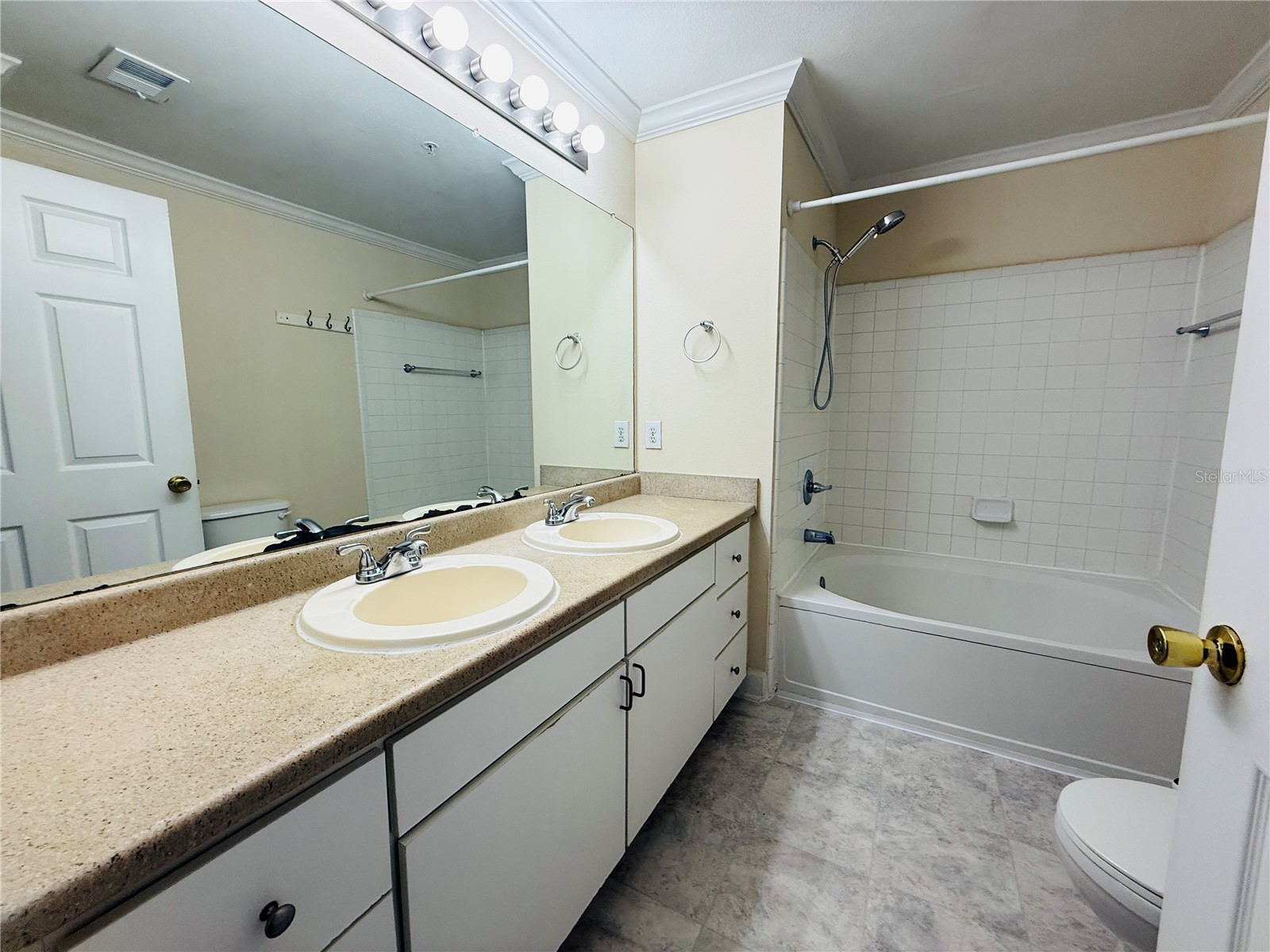18557 Bridle Club Drive #18557 Tampa FL 33647 TB8516394 image20