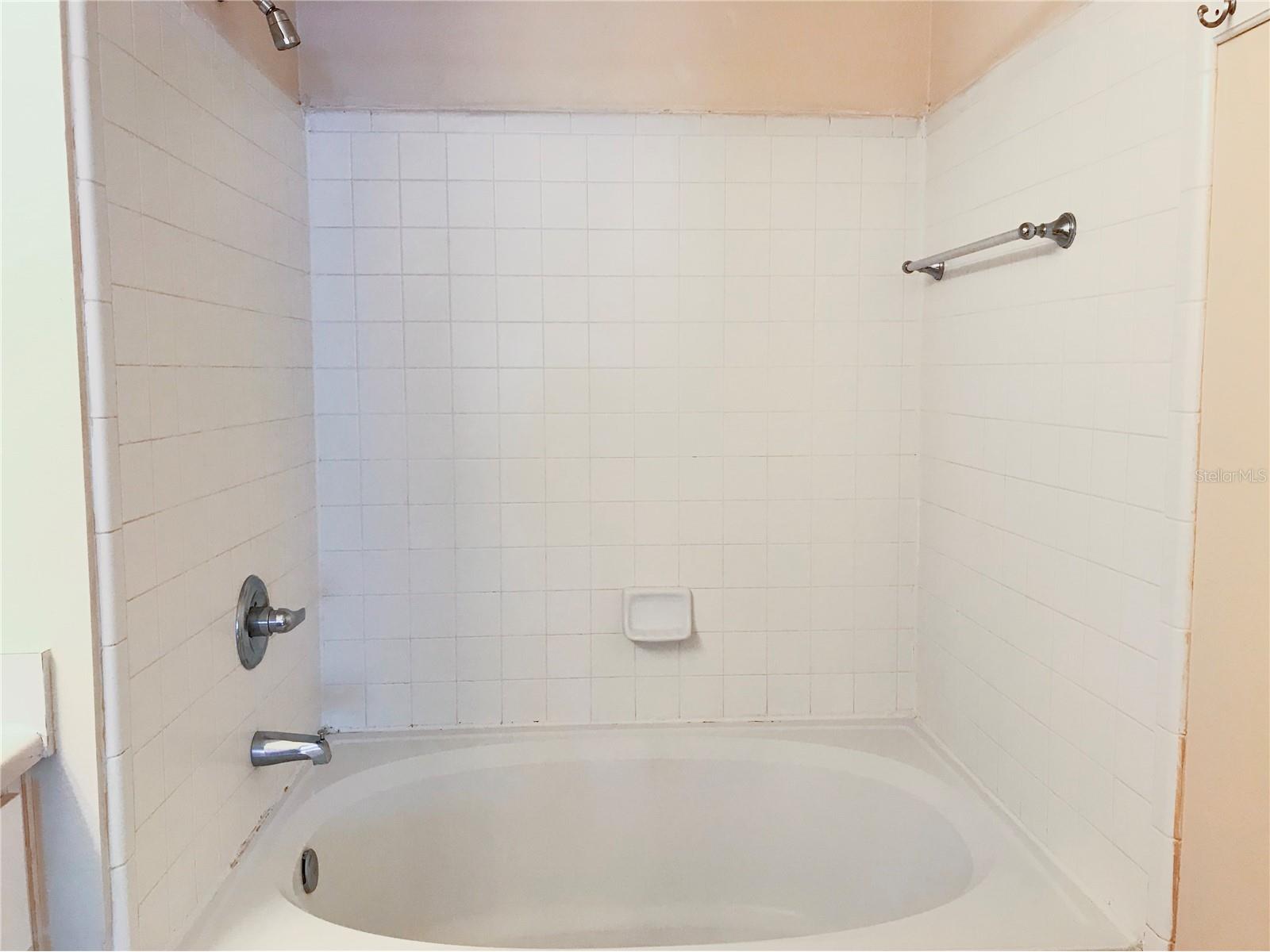 18557 Bridle Club Drive #18557 Tampa FL 33647 TB8516394 image21