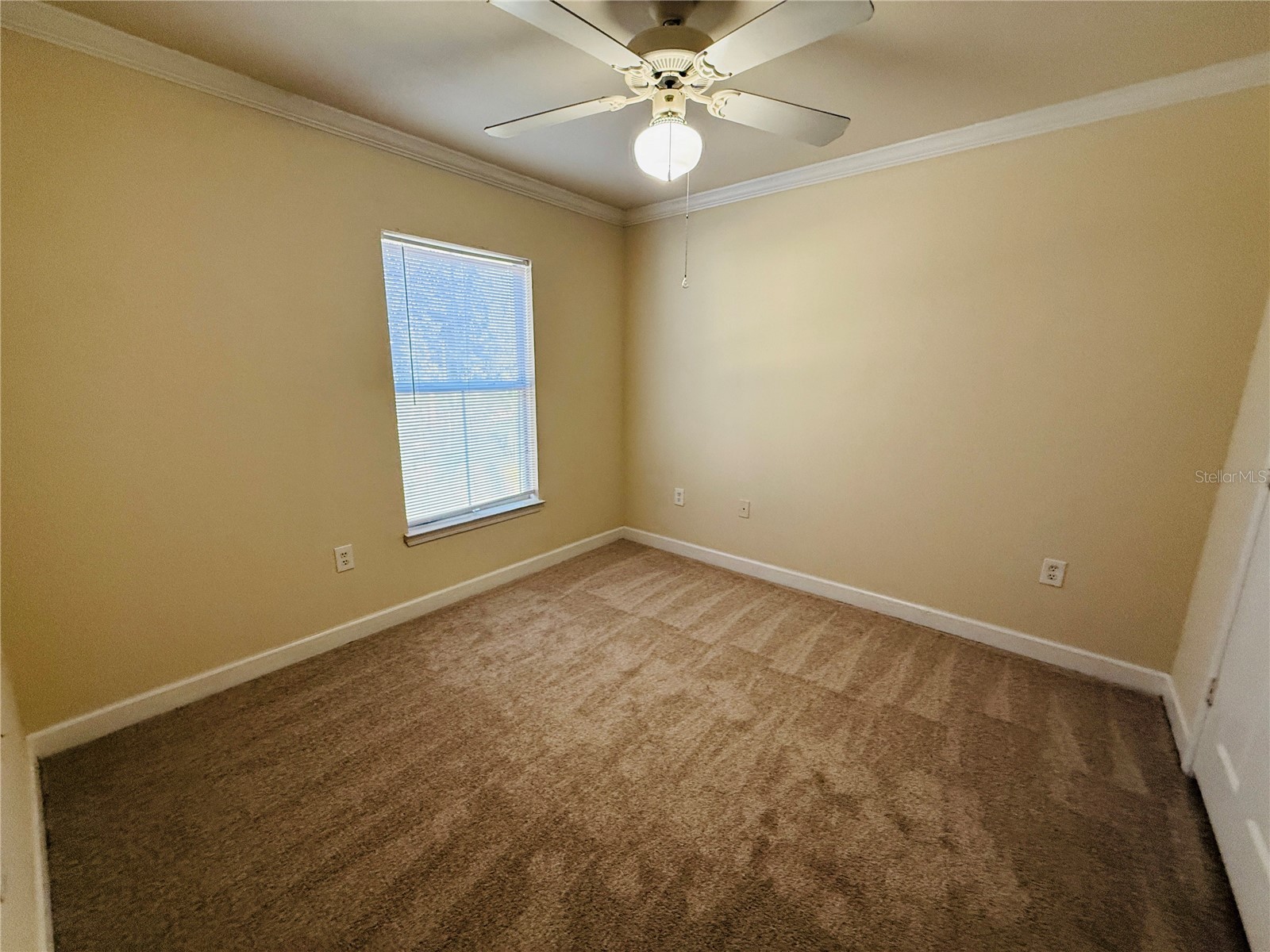 18557 Bridle Club Drive #18557 Tampa FL 33647 TB8516394 image25