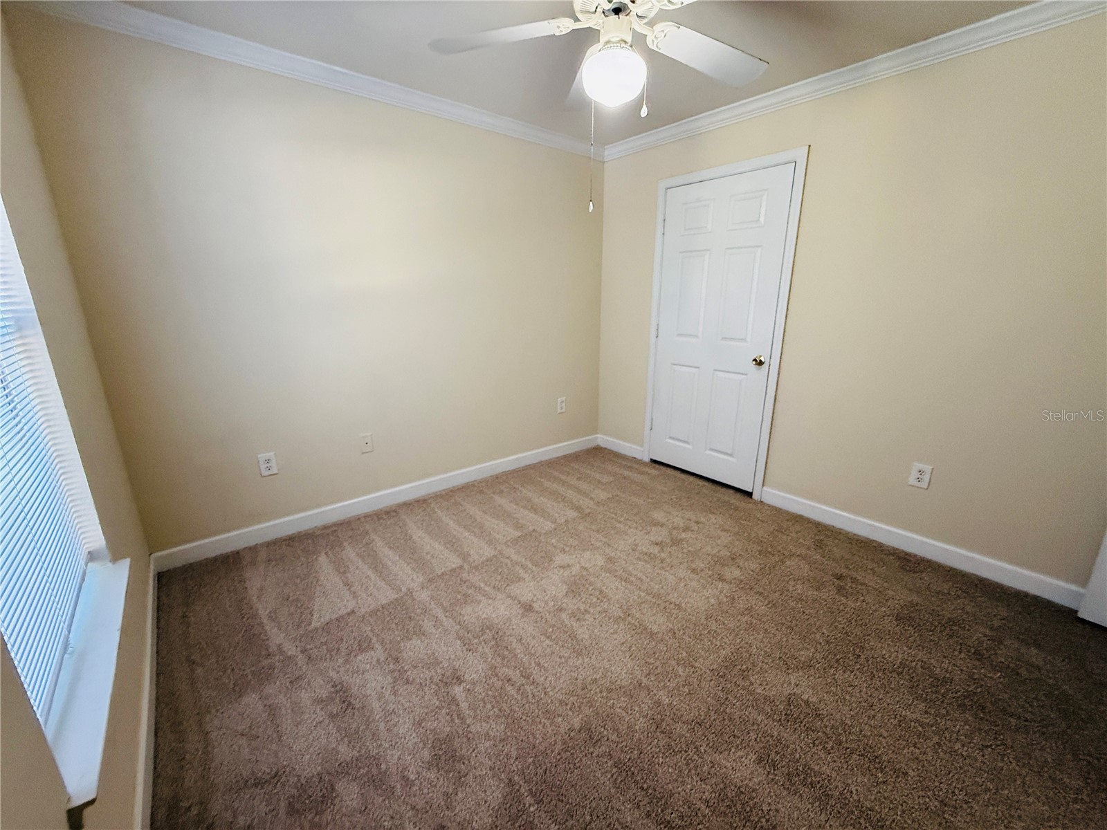 18557 Bridle Club Drive #18557 Tampa FL 33647 TB8516394 image27
