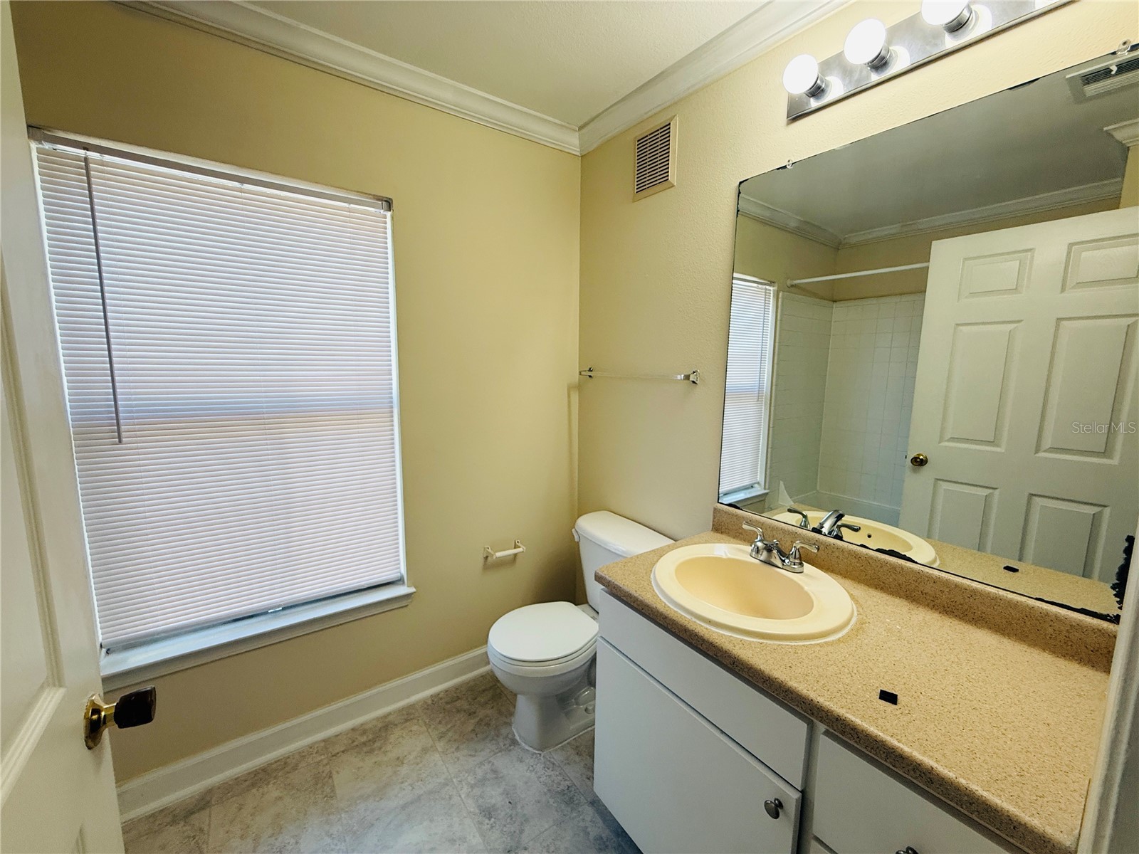 18557 Bridle Club Drive #18557 Tampa FL 33647 TB8516394 image28