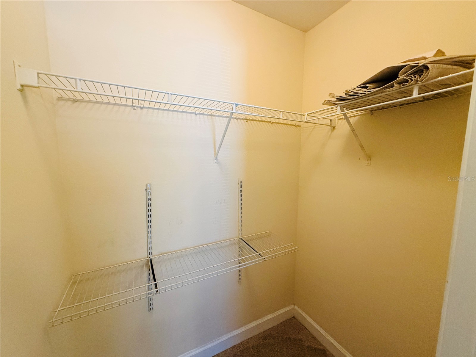 18557 Bridle Club Drive #18557 Tampa FL 33647 TB8516394 image30