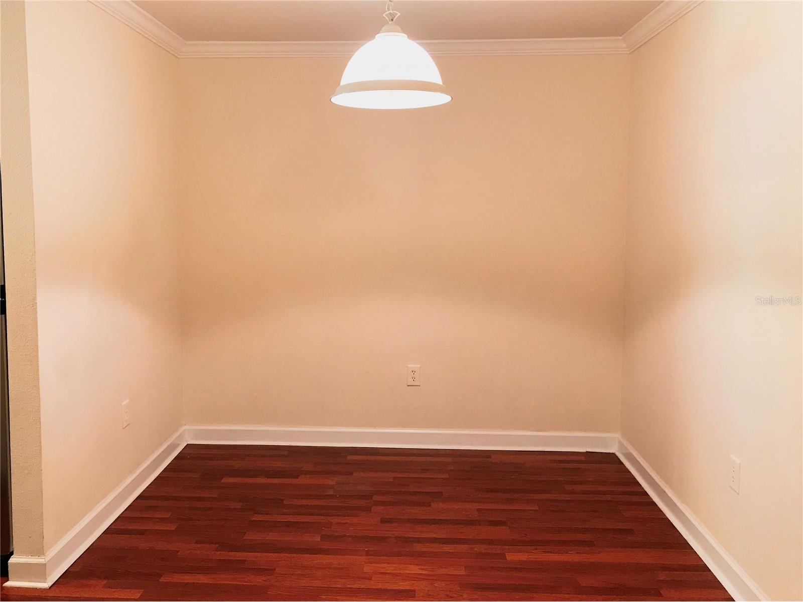 18557 Bridle Club Drive #18557 Tampa FL 33647 TB8516394 image4
