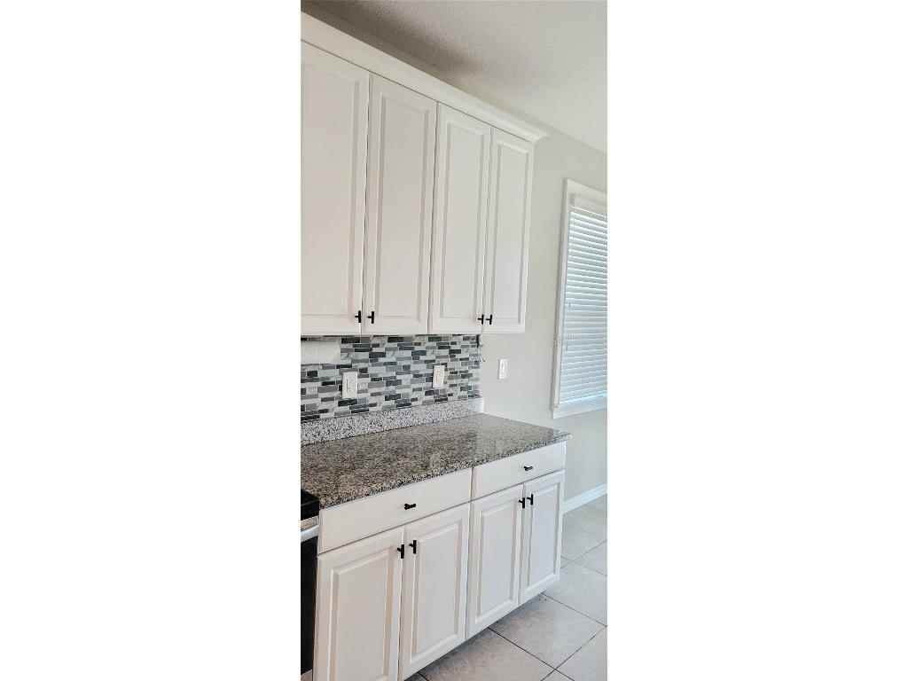 18558 Cortes Creek Boulevard Spring Hill FL 34610 W7876584 image14