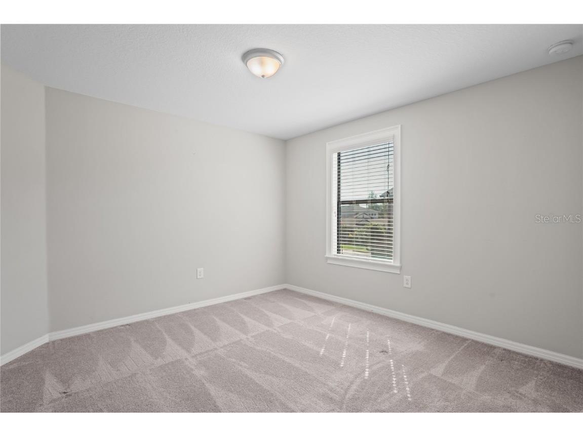 18558 Cortes Creek Boulevard Spring Hill FL 34610 W7876584 image35