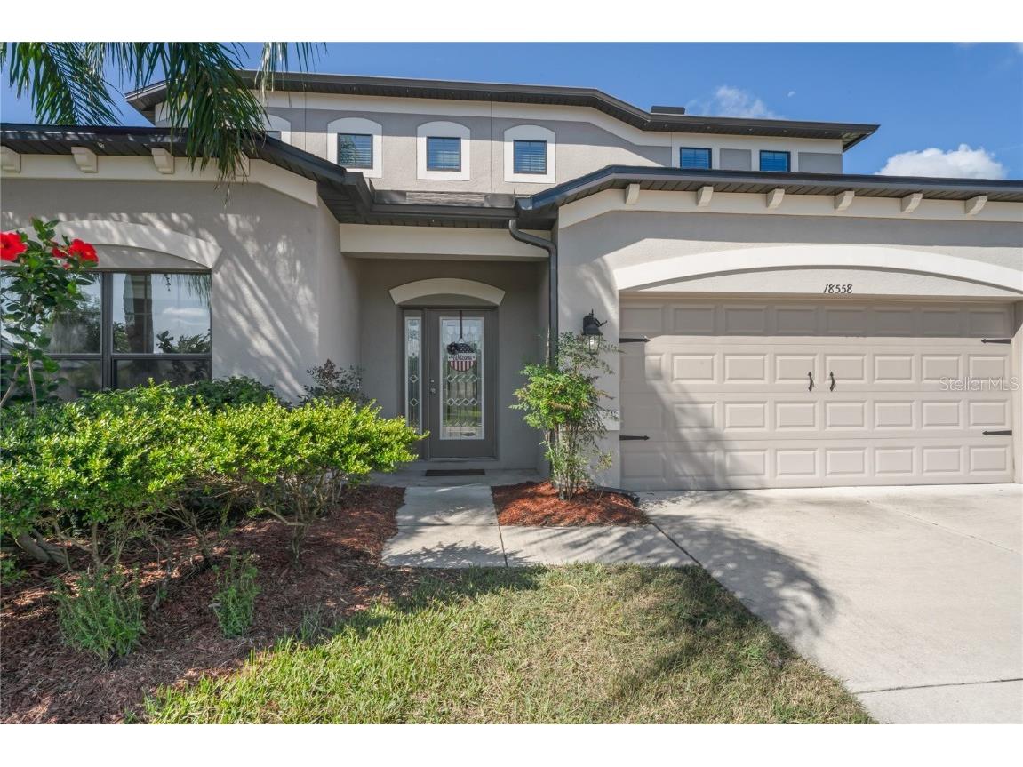 18558 Cortes Creek Boulevard Spring Hill FL 34610 W7876584 image4