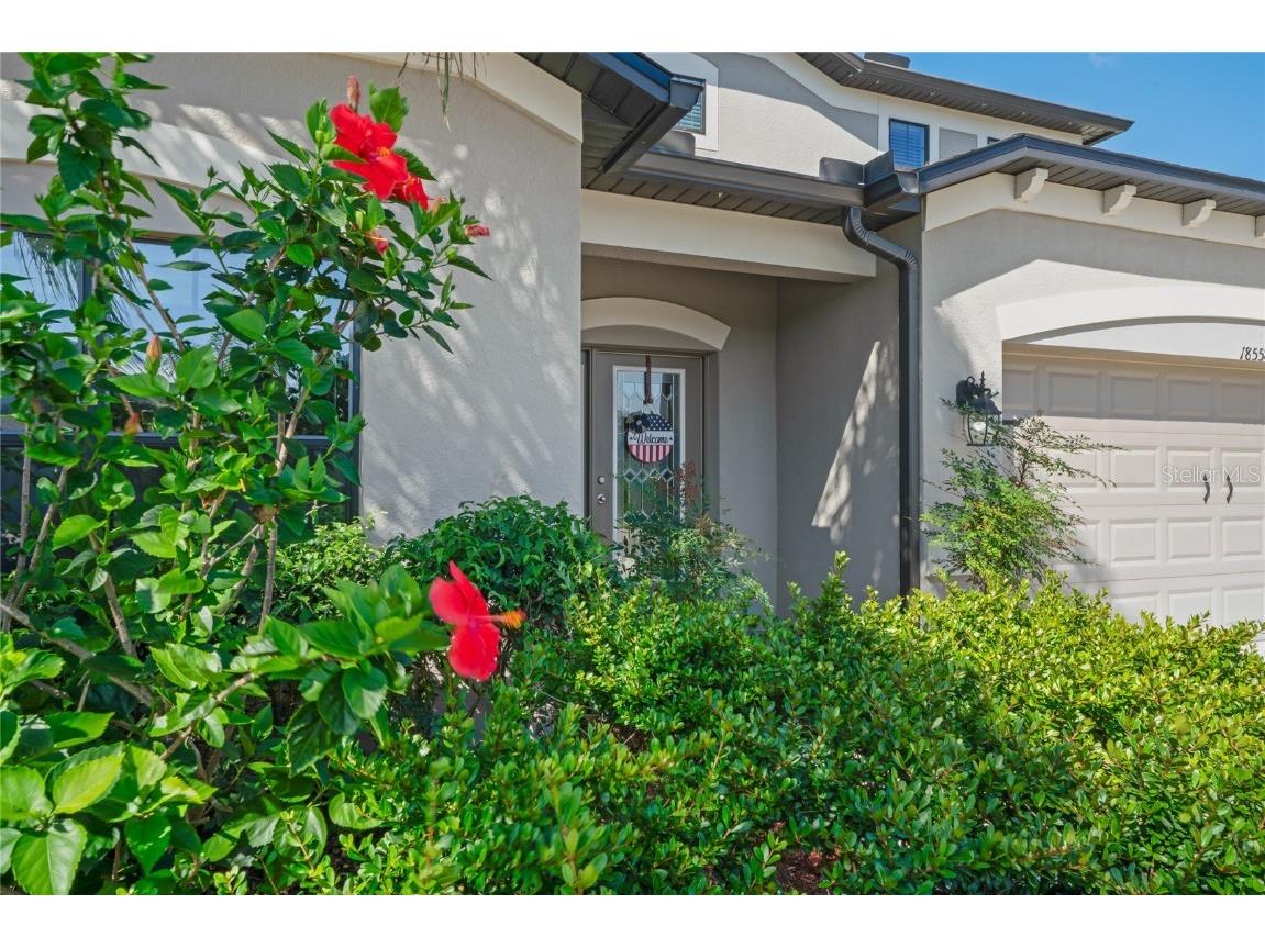 18558 Cortes Creek Boulevard Spring Hill FL 34610 W7876584 image63