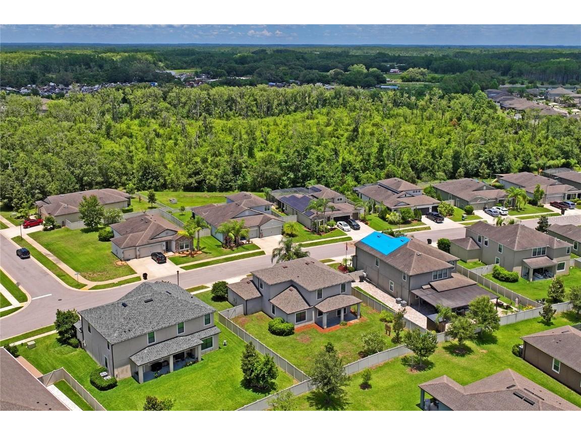 18558 Cortes Creek Boulevard Spring Hill FL 34610 W7876584 image67