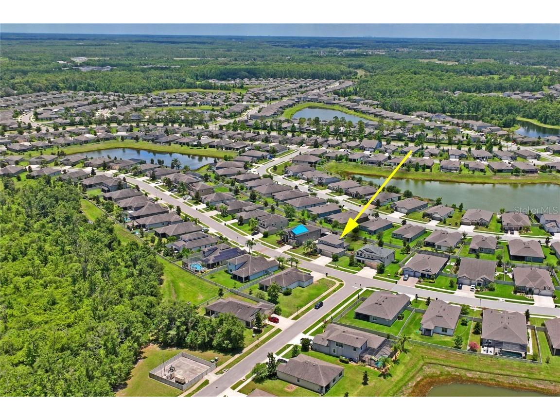 18558 Cortes Creek Boulevard Spring Hill FL 34610 W7876584 image68