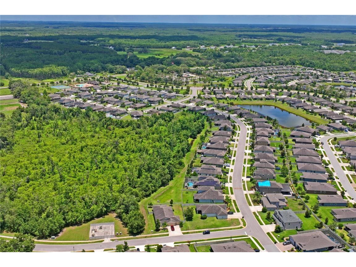 18558 Cortes Creek Boulevard Spring Hill FL 34610 W7876584 image69