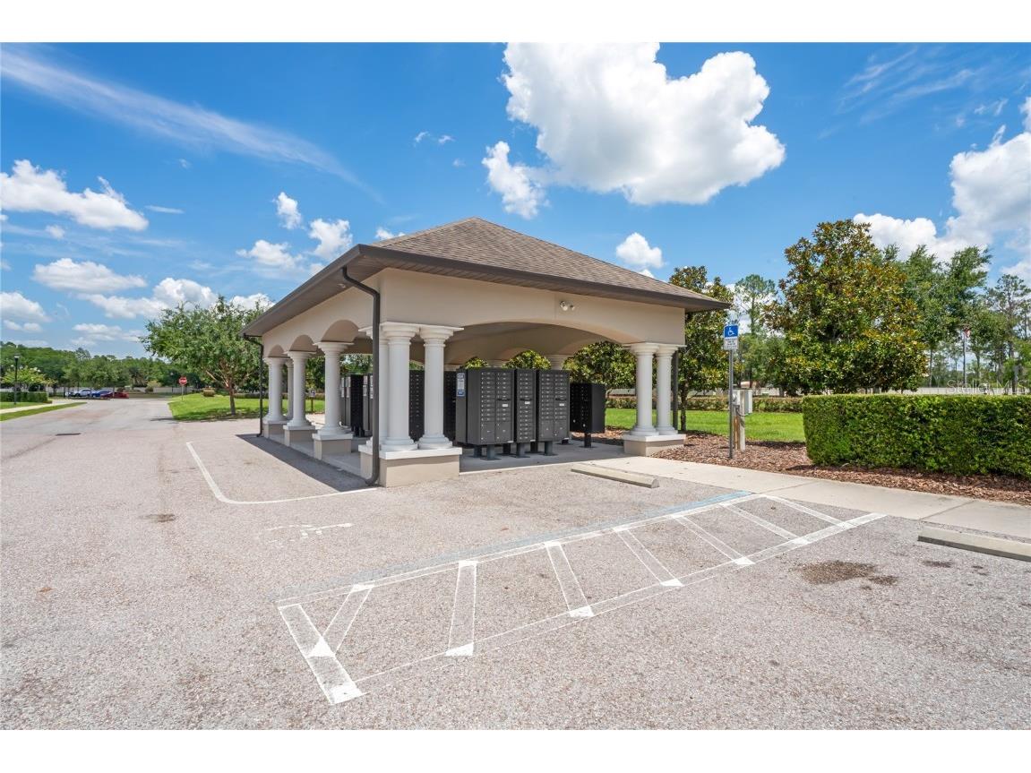 18558 Cortes Creek Boulevard Spring Hill FL 34610 W7876584 image76