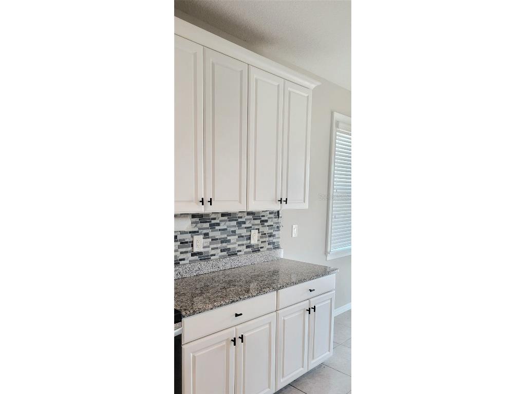 18558 Cortes Creek Boulevard Spring Hill FL 34610 W7876584 image81