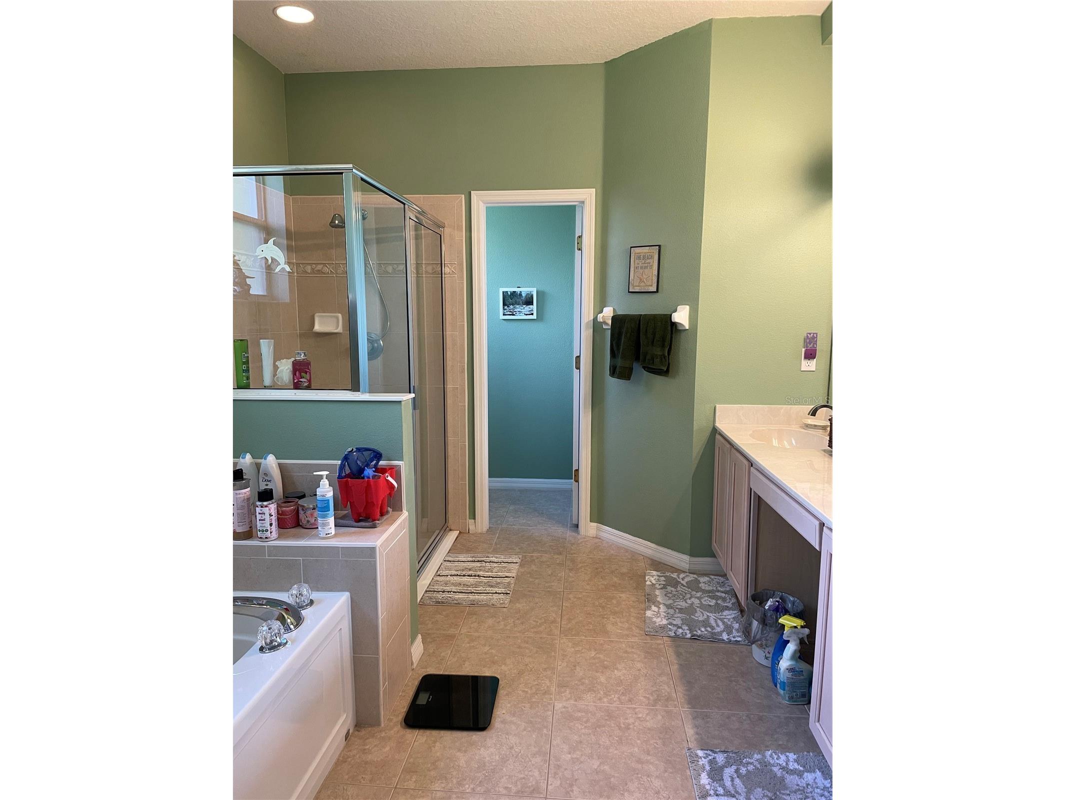 1856 Chantel Court Port Orange FL 32128 V4949457 image36