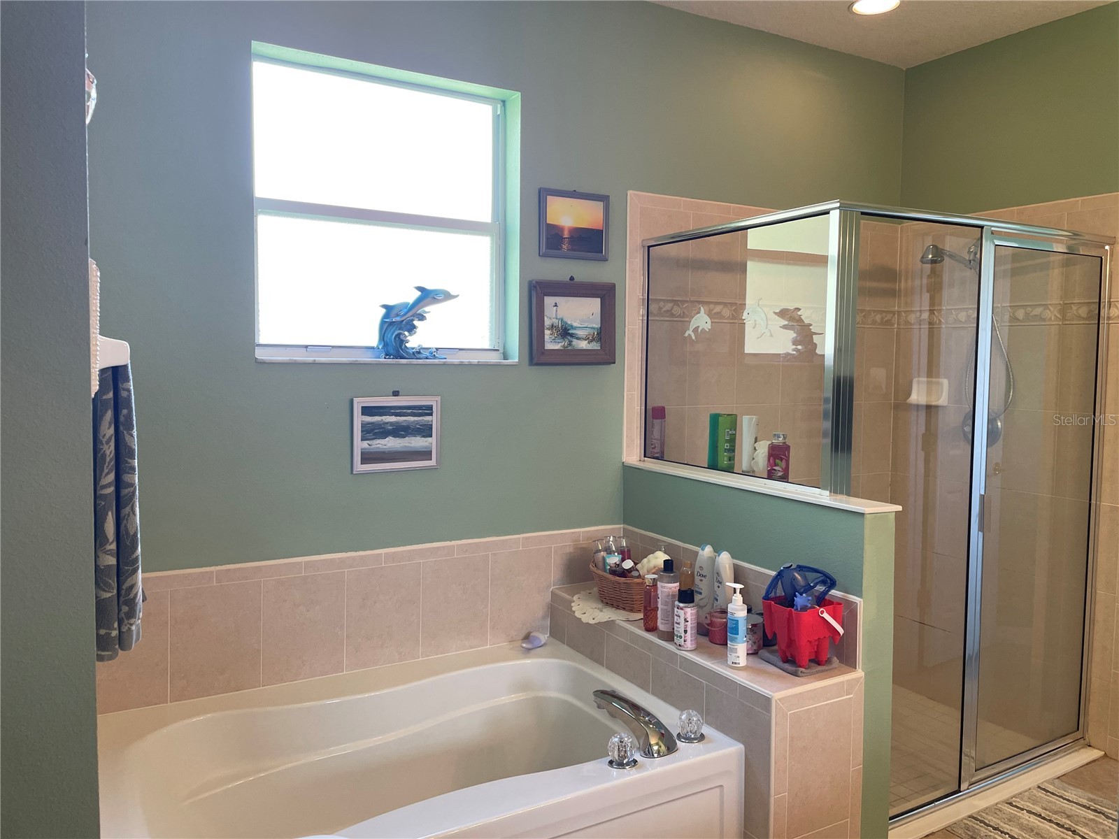 1856 Chantel Court Port Orange FL 32128 V4949457 image9
