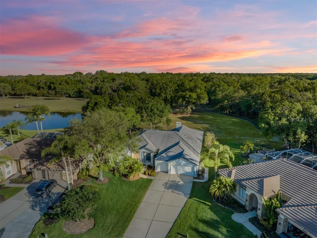 1856 Eau Claire Court Oldsmar FL 34677 U8193945 image1