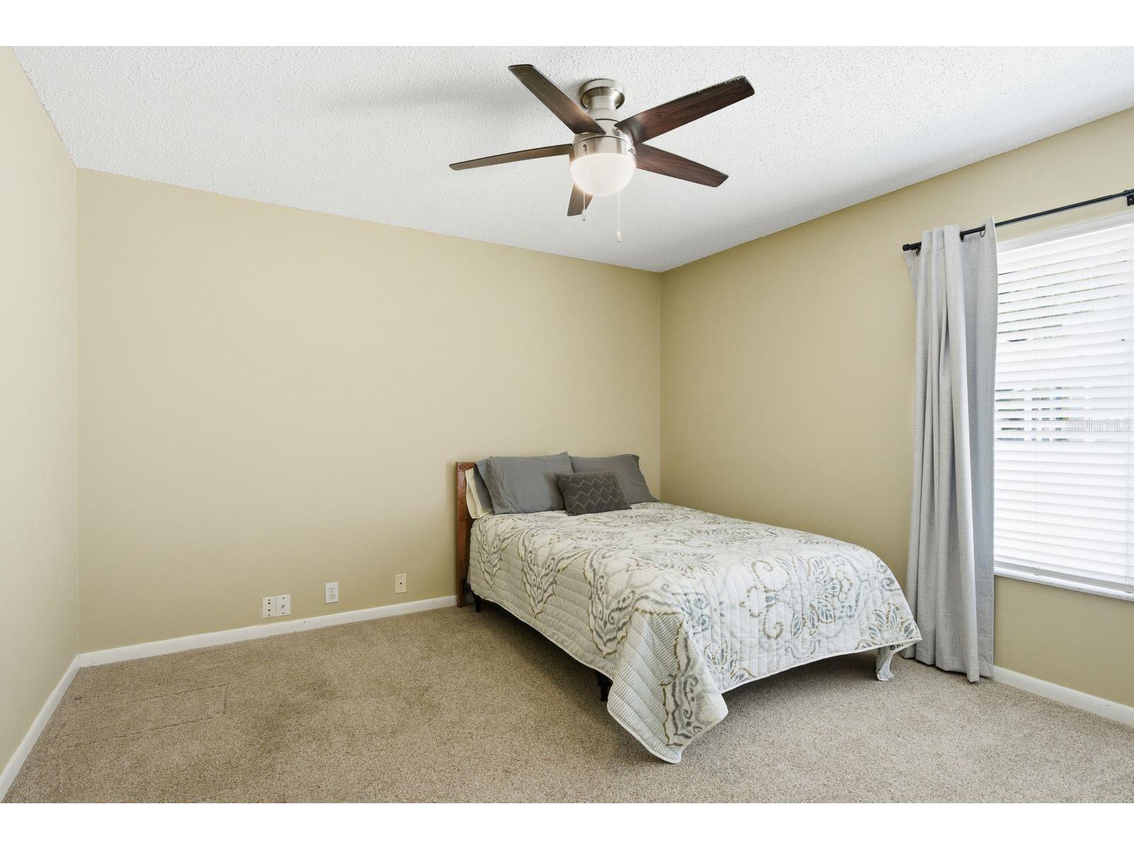 1856 Wood Thrush Way Palm Harbor FL 34683 TB8509311 image26