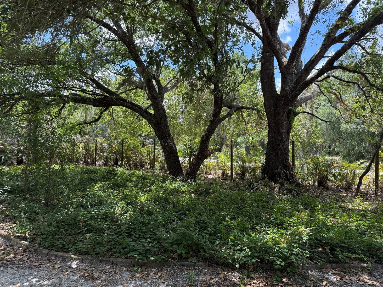 18561 NW 306th Street Okeechobee FL 34972 K4903499 image20