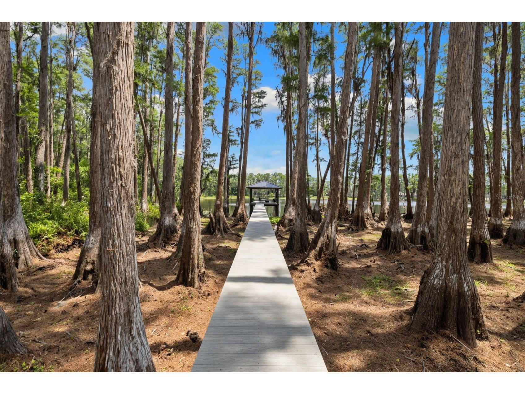 18562 Council Crest Drive Odessa FL 33556 - Lake Martha TB8512855 image76