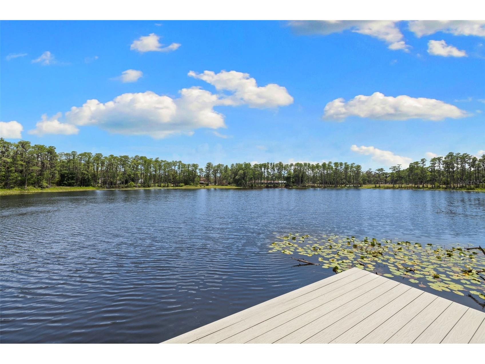 18562 Council Crest Drive Odessa FL 33556 - Lake Martha TB8512855 image79