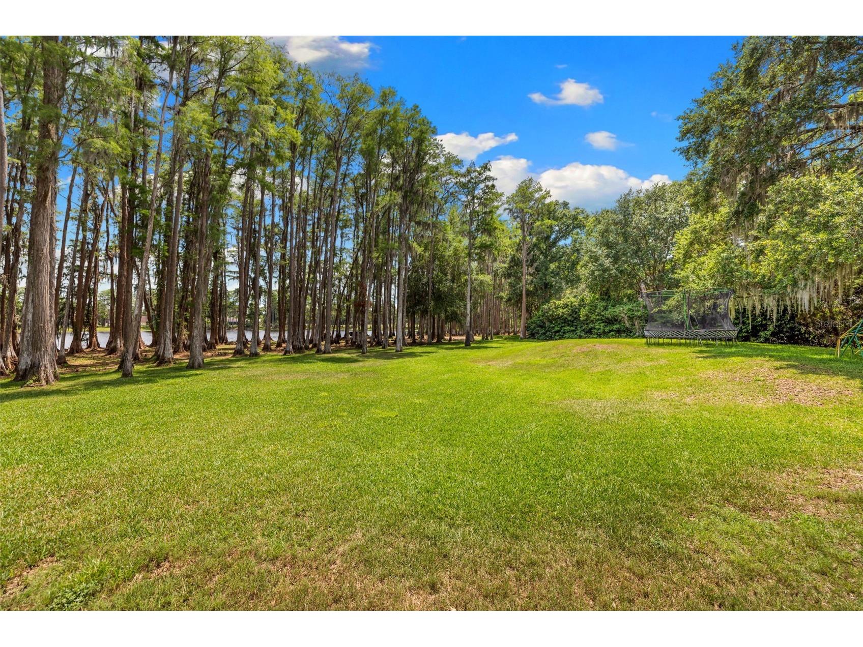 18562 Council Crest Drive Odessa FL 33556 - Lake Martha TB8512855 image80