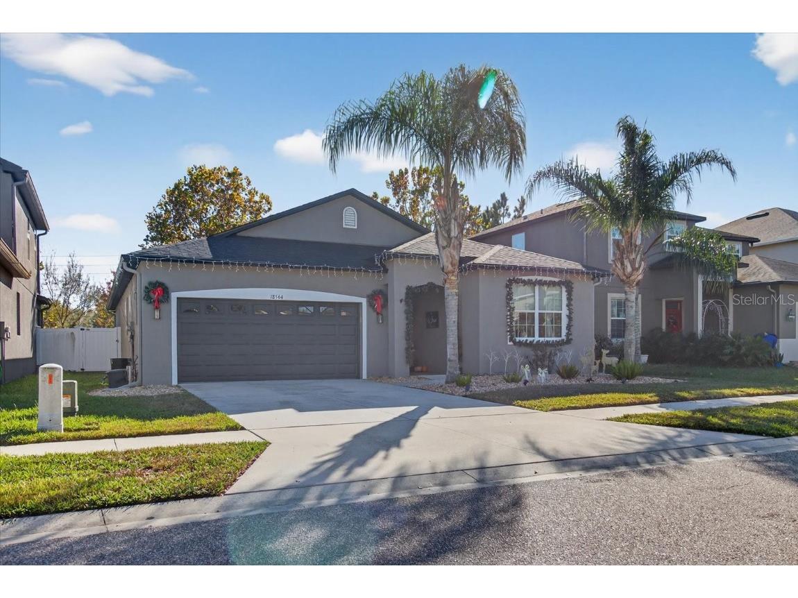 18564 Strombury Drive Land O Lakes FL 34638 TB8458352 image1