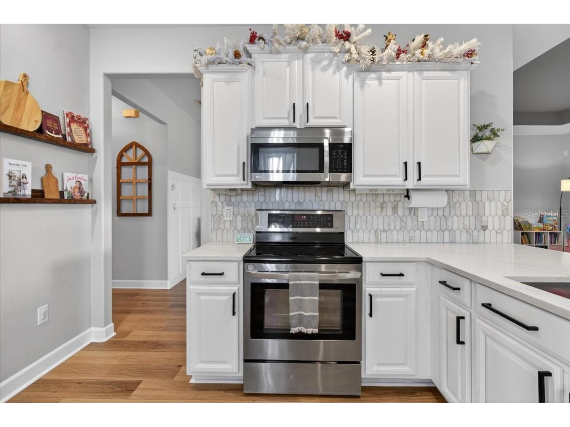 18564 Strombury Drive Land O Lakes FL 34638 TB8458352 image25