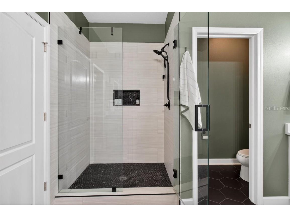 18564 Strombury Drive Land O Lakes FL 34638 TB8458352 image39