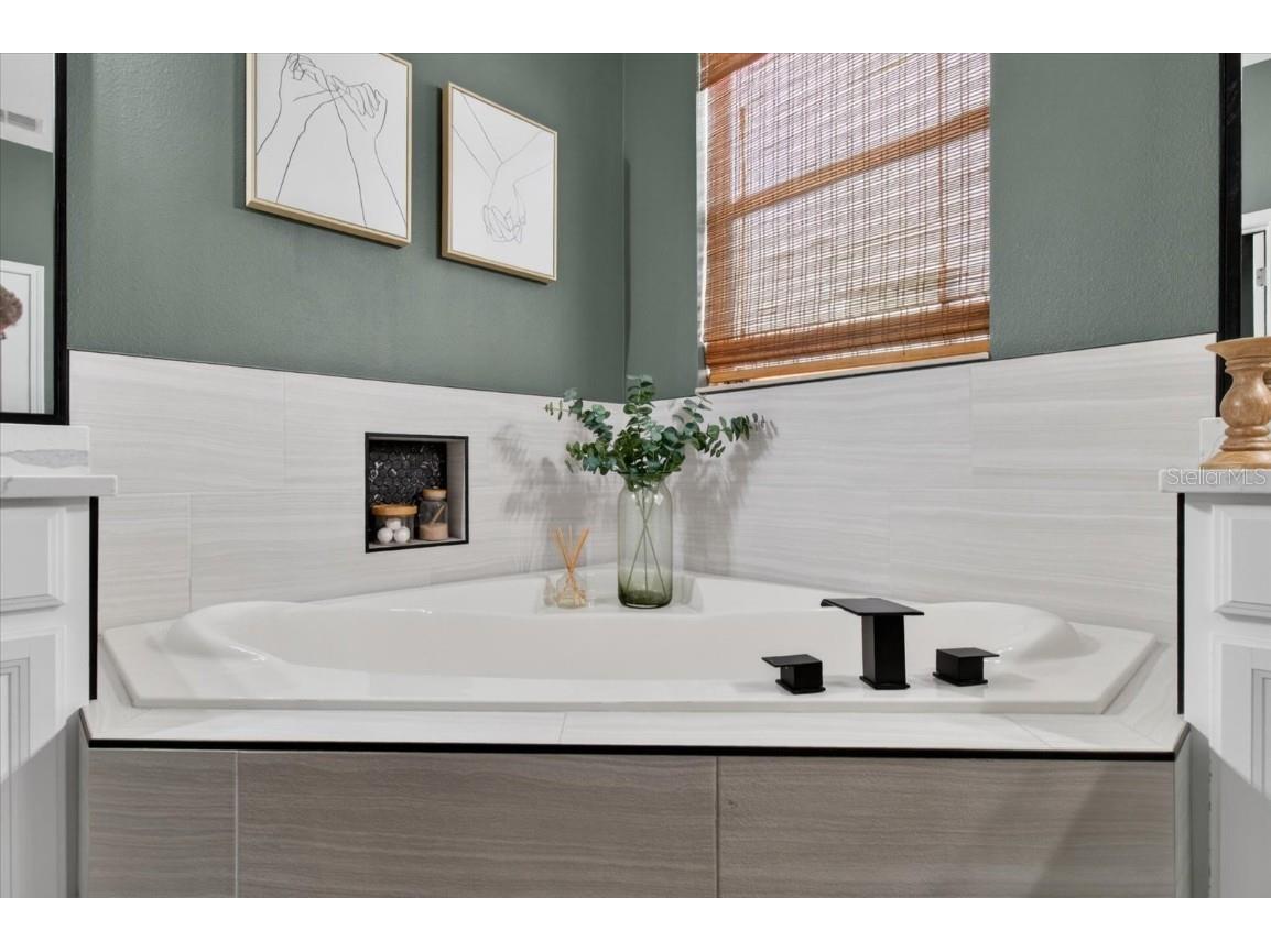 18564 Strombury Drive Land O Lakes FL 34638 TB8458352 image41