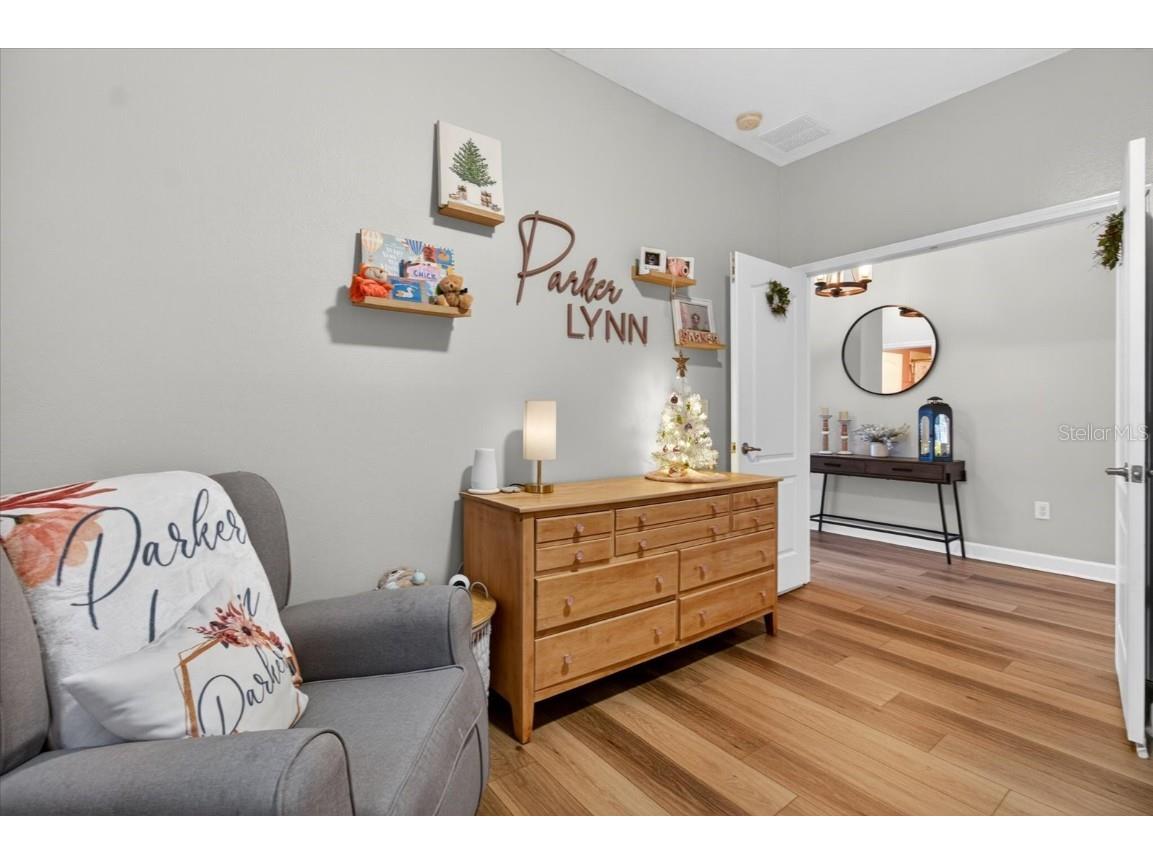 18564 Strombury Drive Land O Lakes FL 34638 TB8458352 image53