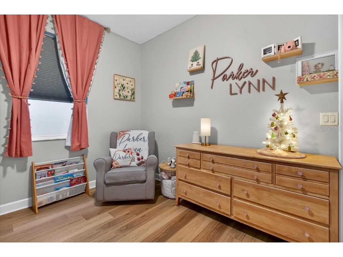 18564 Strombury Drive Land O Lakes FL 34638 TB8458352 image54