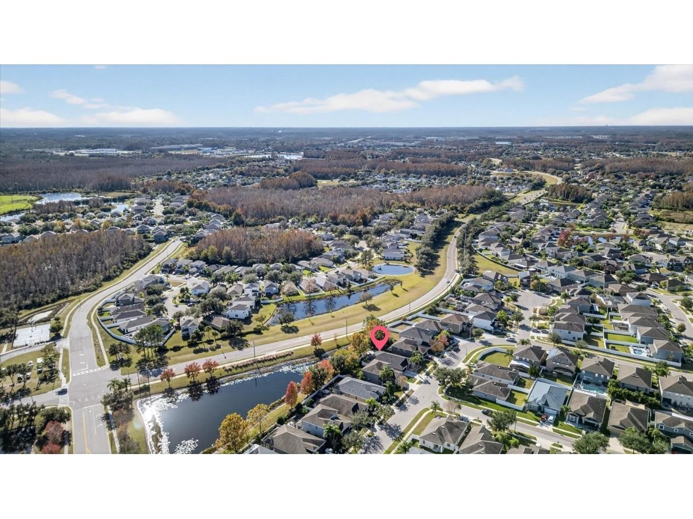 18564 Strombury Drive Land O Lakes FL 34638 TB8458352 image82