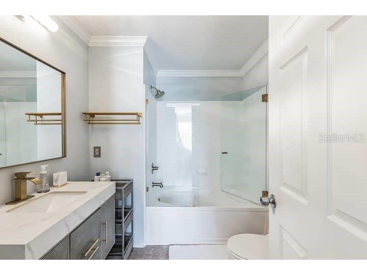 18565 Bridle Club Drive #18565 Tampa FL 33647 TB8448429 image11